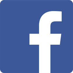 Image result for fb icon
