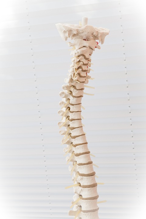 Chiropractic Treatment for Herniated Discs